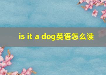 is it a dog英语怎么读